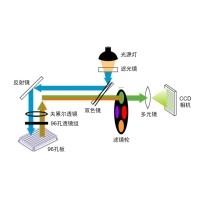 什么是熒光定量PCR、數(shù)字PCR？
