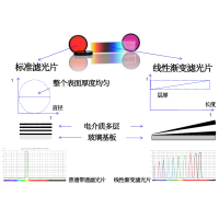 線性漸變?yōu)V光片是什么？有何特點？