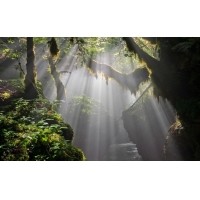 光的干涉、衍射、折射、反射、散射